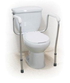 Toilet Guard Rail - 300 LB Capacity (Assembly Required)