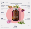 Meno Balance by CLAV Menopause Support Wild Yam Root Red Clover Siberian Rhubarb | Hot Flash Relief | Mood Swings -120 Capsules