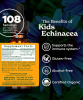 Echinacea Glycerite Organic Child's by Herb Pharm - 1 Each-1 Fz