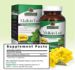 Nature's Answer Mullein Leaf Dietary Supplement - 1 Each - 90 Sgel