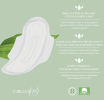 Organyc - Pads Organic Cotton Moderate Flow W/Wings - 1 Each - 10 Ct