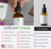 CO2 Extracted Milk Thistle Seed Oil 100% Potent Liver Support Milk Thistle Oil Rich in Silymarin Zinc Omegas Tocopherols Pure Milk Thistle Drops 2 Fl