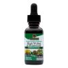 Nature's Answer - Black Walnut And Wormwood Complex Alcohol Free - 1 Fl Oz | Antioxidant