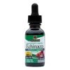 Echinacea With Grape - Nature's Answer -  Alcohol Free 1 FL Oz