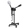 2 in 1 Facial Steamer with 3X Magnifying Lamp, Esthetician Steamer Professional Aromatherapy Humidifier Face Spa Mist Steam for Personal Skin Care