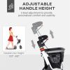 Adjustable Height Walker