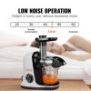 VEVOR Slow Masticating Juicer, Cold Press Juicer Machine with Reverse Function, Quiet Motor Slow Juicer, Juice Extractor Maker Easy to Clean with Brus