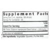 Nature's Answer - Alcohol Free Milk Thistle - 1 Each - 2 Fl Oz