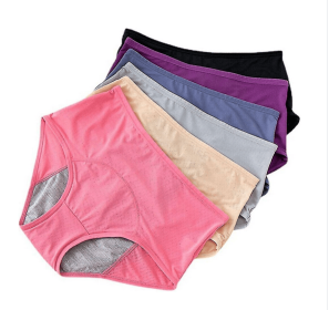 Leakproof Underwear For Women Incontinence,leak Proof Protective Pants (Color: Skin Color, size: L)