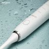 Sonic Electric Toothbrush